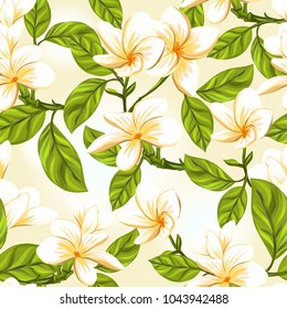 Seamless pattern, background with white plumeria on yellow background. Hand drawn colorful vector illustration without transparent and gradients.