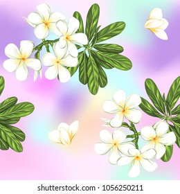 Seamless pattern, background with white plumeria on vanilla background. Hand drawn colorful vector illustration without transparent and gradients.