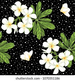 Seamless pattern, background with white plumeria on black background. Hand drawn colorful vector illustration without transparent and gradients.