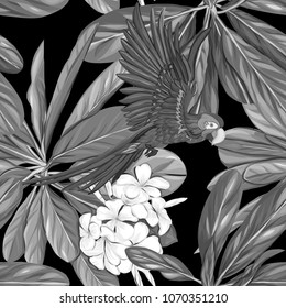 Seamless pattern, background with white plumeria on black background.  Hand drawn monochrome vector illustration without transparent and gradients.