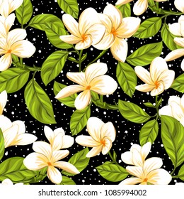 Seamless pattern, background with white plumeria on black background. Hand drawn colorful vector illustration without transparent and gradients.