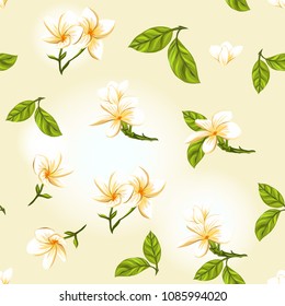 Seamless pattern, background with white plumeria on yellow background. Hand drawn colorful vector illustration without transparent and gradients.