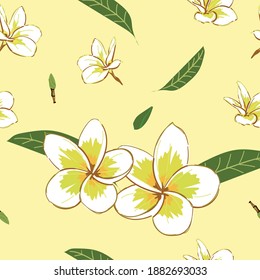 Seamless pattern background with white plumeria on yellow background. Hand drawn colorful vector illustration. floral background with bouquets of flowers.