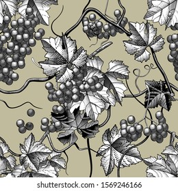 Seamless pattern background of wine grapes with leaves and branches. Vintage engraving stylized drawing. Vector illustration
