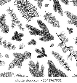 Seamless pattern background with winter christmas holly, spruce branches, twigs with leaves, berries. Floral botanical elements. Hand drawn line vector illustration.