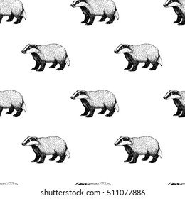Seamless pattern with badger. Background in vintage style. Retro sketch. Doodle linear graphic design. Black and white drawing wild animal. Vector illustration.