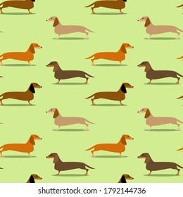 Seamless pattern with badger dogs of different colors on light green background. Illustration of funny dachshunds