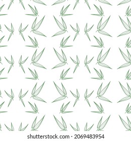 Patrón sin foco de hojas de bambú, verde sobre fondo blanco. Ilustración dibujada a mano