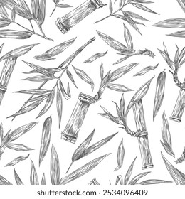 Seamless pattern with Bamboo plant engraved sketch. Stalk piece and branch with leaves. Hand drawn Asian nature floral background. Outline East tropical forest Bamboo foliage vector illustration