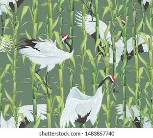 Seamless pattern with bamboo thickets and Japanese cranes