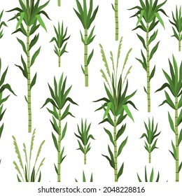 Seamless pattern bamboo tree. Sugarcane plant background, green cane stems isolated, leaves repeat, tropical nature design, vertical branches, decor textile, wrapping paper, vector print