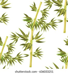 Seamless pattern Bamboo tree tropical china japan  Vector illustration