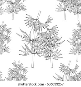 Seamless pattern Bamboo a tree tropical coloring Vector illustration