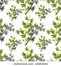 Seamless pattern Bamboo tree tropical with shadow china japan  Vector illustration