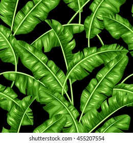 Seamless pattern with banana leaves. Image of decorative tropical foliage.