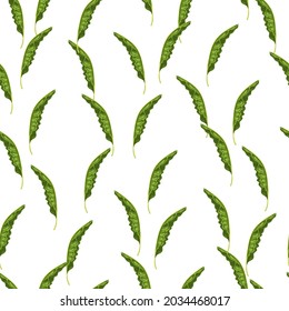 Seamless pattern with banana leaves print. Minimalistic nature jungle ornament. Flat vector print for textile, fabric, giftwrap, wallpapers. Endless illustration.