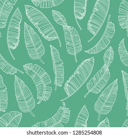 Seamless pattern with banana leaves. Simple pencil drawing. Manual graphics. Stylish vintage illustration. Design wallpaper, fabrics, postal packaging. Illustration for your design