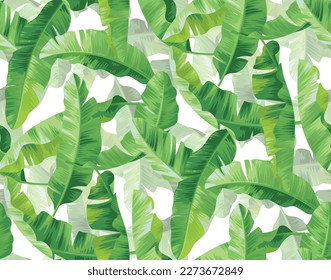 Nahtloses Muster mit Bananenpalmenblättern. Tropisches Design. Botanische Illustration im realistischen Stil. Vektorgrafik-Hintergrund.