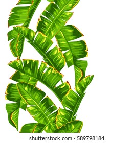 Seamless pattern with banana palm leaves. Decorative tropical foliage.