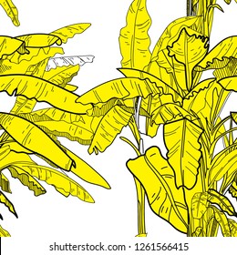 
Seamless pattern with banana palm trees. Large leaves of tropical plants. Freehand drawing in vintage style. Tropics, summer.