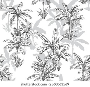 Seamless pattern with banana palm trees. Tropical Hawaiian foliage background. Black and white botanical sketch. Vector illustration.