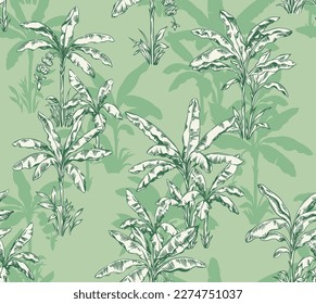 Seamless pattern with banana palms.  Tropical trees in linear style. Vector botanical illustration. Foliage design for wallpaper, textile and wrapping paper.