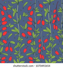 Seamless pattern, Barberry hand drawn branch vector isolated on blue background, colorful berry, Natural spicy herb, cooking ingredient for design package tea, cosmetic, medicine, fabric, textile