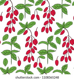 Seamless pattern Barberry, Mint branch hand drawn branch vector isolated on white background, colorful fresh berry, Natural spicy herb, cooking ingredient for design package tea, cosmetic, medicine