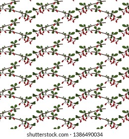 Seamless pattern with barberry. Twigs. White background.