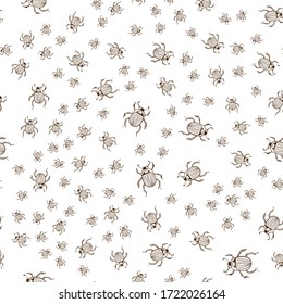 seamless pattern of a bark beetle on a white background