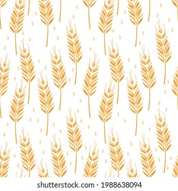 Seamless pattern with barley field on white background vector illustration.