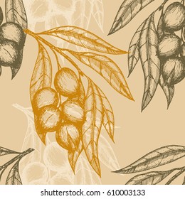 Seamless pattern based on engraving illustration of macadamia branches with nuts and leaves. Vector illustration