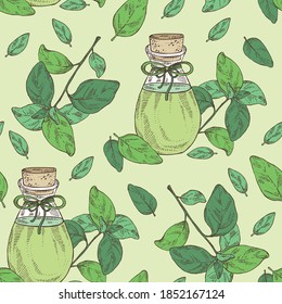 Seamless pattern with basil leaf  and bottle of basil essential oil. Cosmetic, perfumery and medical plant. Vector hand drawn illustration.
