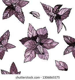 Seamless pattern with basil leaves.Basil hand drawn sketch illustration,isolated on the white background. Herbal condiment.Detailed organic product sketch. Cooking spicy ingredient