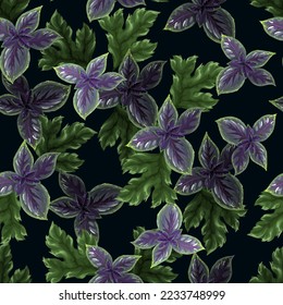 Seamless pattern with basil. Vector