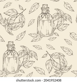 Patrón sin foco con albahaca:hoja, planta de albahaca y botella de aceite esencial de albahaca. Cosmética, perfumería y planta médica. Ilustración dibujada a mano por vectores.