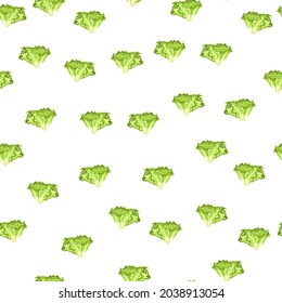 Seamless pattern Batavia salad on white background. Simple ornament with lettuce. Random plant template for fabric. Design vector illustration.