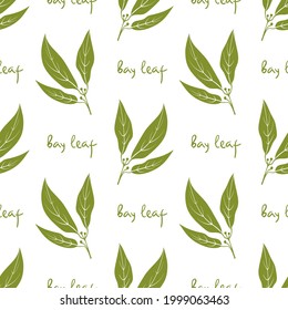 Seamless pattern with bay leaf. Colorful paper cut culinary herbs isolated on white background. Doodle hand drawn vector illustration