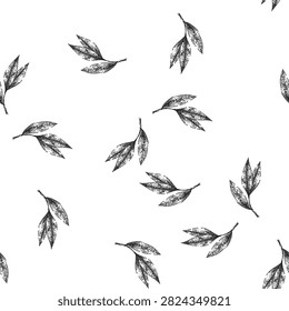 seamless pattern bay leaf herb dry hand drawn. laurel leaves, green top, view tree, cooking plant, sketch indian bay leaf herb dry black sketch illustration