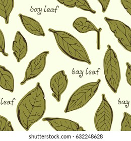 Seamless pattern with bay leaves, botanical, food herbs illustration