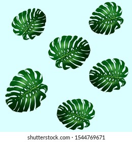 Seamless pattern of beautiful big green leaves Monstera plant, Monstera on blue background, vector illustration