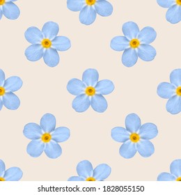 The seamless pattern with the beautiful blue flowers on the beige background.