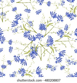 Seamless pattern with beautiful blue flowers chicory