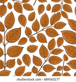 Seamless pattern of beautiful brown birch, honeysuckle leaves, twig, branches, sketch style vector illustration on white background.