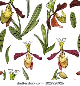 Seamless pattern with beautiful exotic orchid. Paphiopedilum in white
