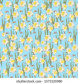 
Seamless pattern with beautiful flowers of daffodil. Holiday floral background for your season design. beautiful garden flowers.