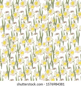 
Seamless pattern with beautiful flowers of daffodil. Holiday floral background for your season design. beautiful garden flowers.