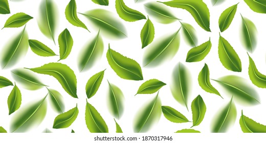  Patrón sin foco hermosa hoja de té verde voladora aislada en blanco. Deja el fondo de la primavera. Planta de naturaleza de flotación para diseño, publicidad, productos de envasado. Ilustración del vector