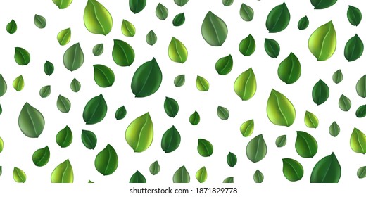 Seamless pattern beautiful flying green tea leaf isolated on white. Leaves spring background. Foliage nature plant for design, advertising, packaging products. Vector illustration