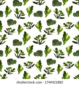 Patrón inmaculado, hermosa colección de plantas de hogar frescas con fondo blanco. Ilustración del vector